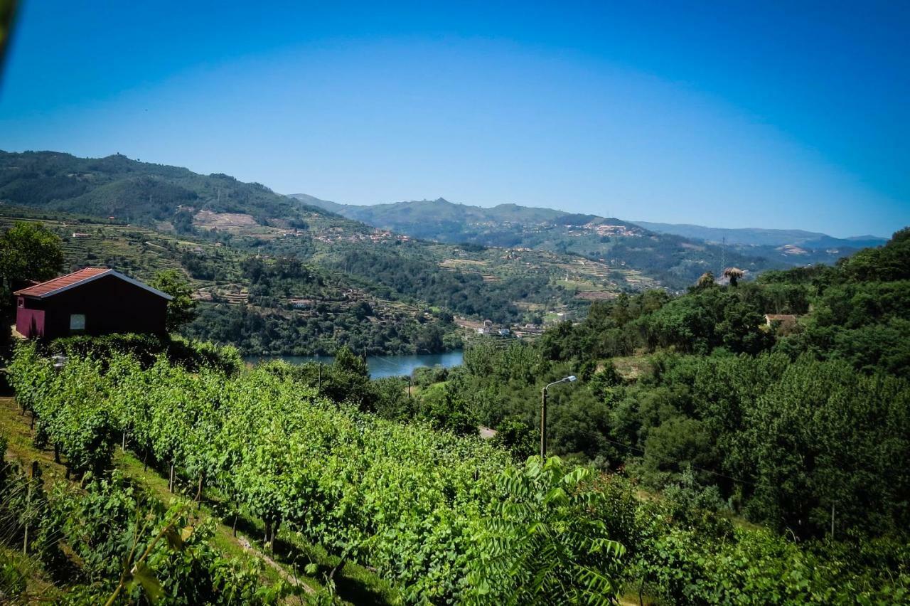 Casa Da Mouta - Douro Valley Baiao Bagian luar foto