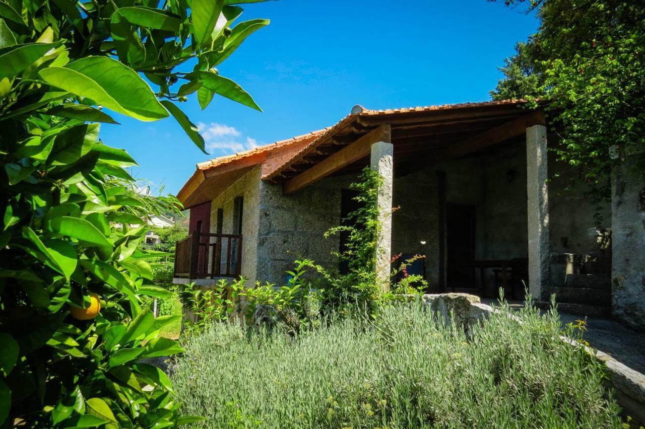 Casa Da Mouta - Douro Valley Baiao Bagian luar foto