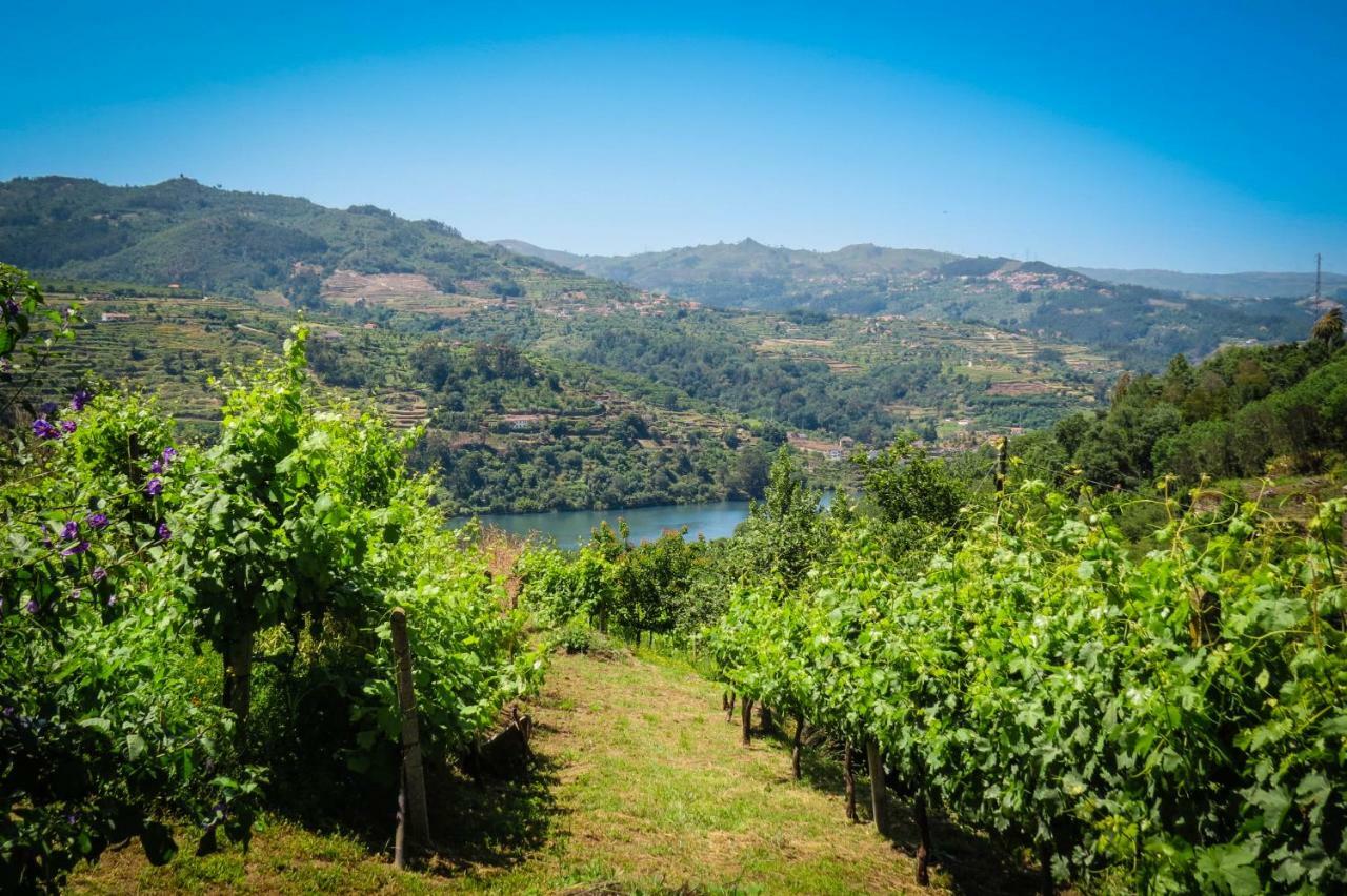 Casa Da Mouta - Douro Valley Baiao Bagian luar foto