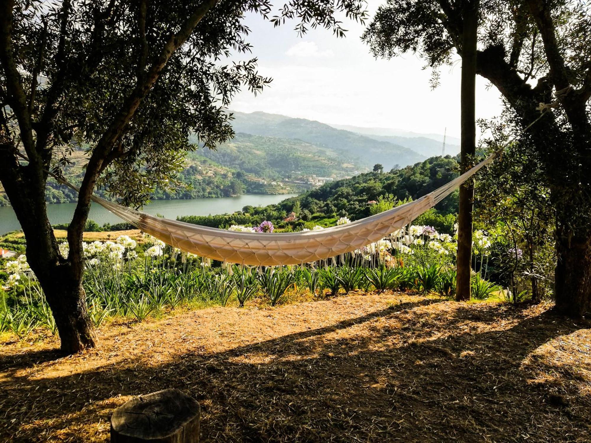 Casa Da Mouta - Douro Valley Baiao Bagian luar foto